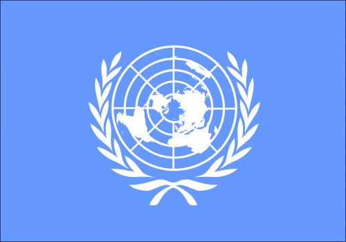 united nations international organization