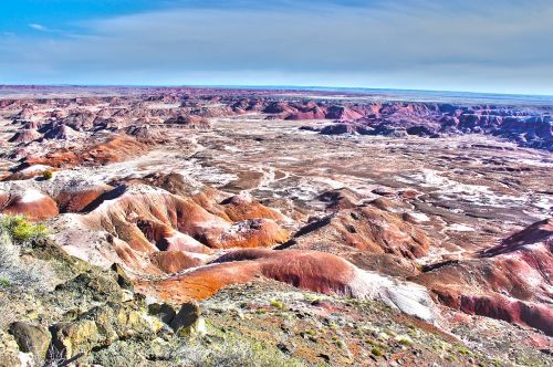 united states petry forest natural park