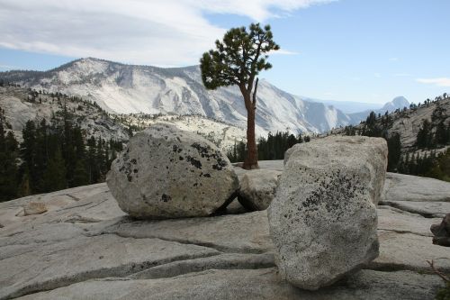 united states yosemite national park nature