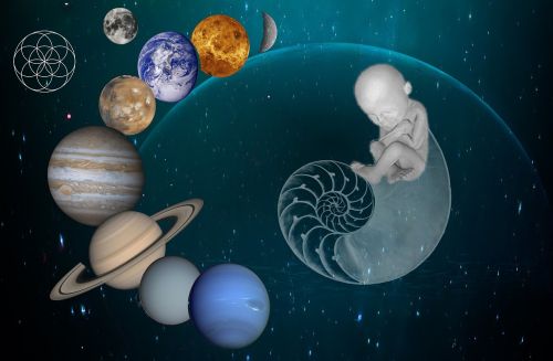 universe birth human