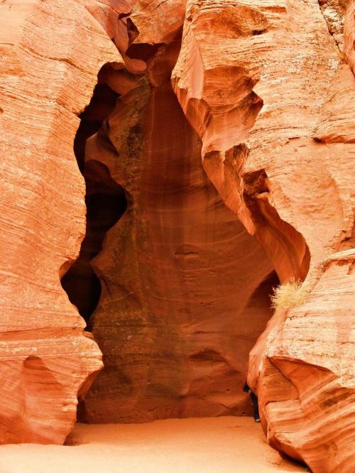 upper antelope slot