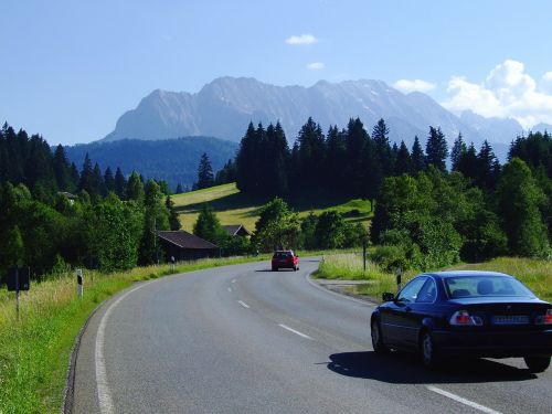 upper bavaria cyclamen landscape