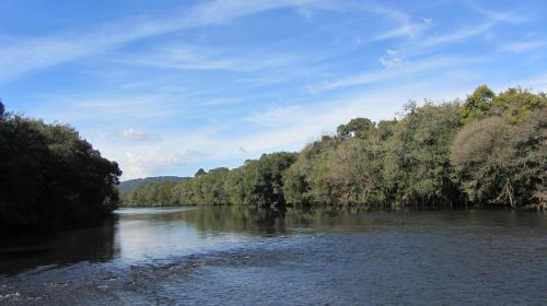 urubici river trees