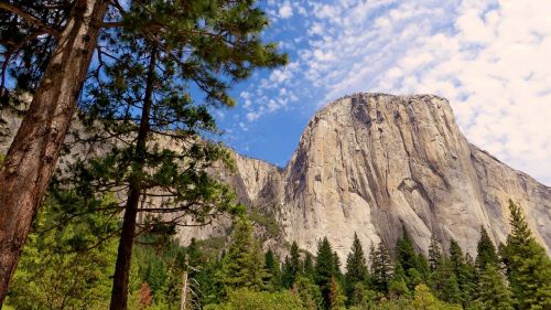 usa america yosemite park