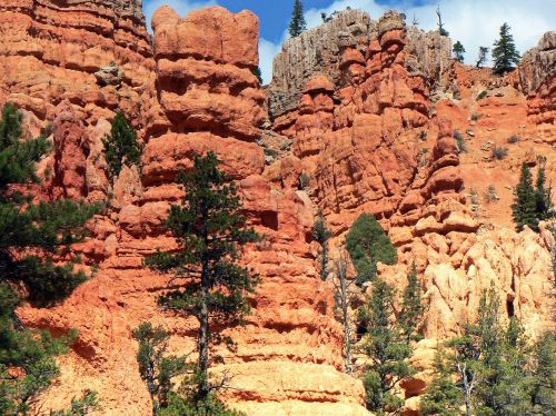 usa cliff bryce canyon