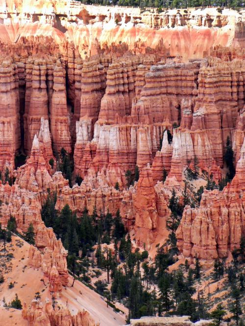 usa cliff bryce canyon