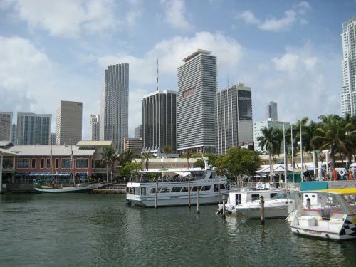 usa miami skyline