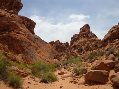 usa canyon nature