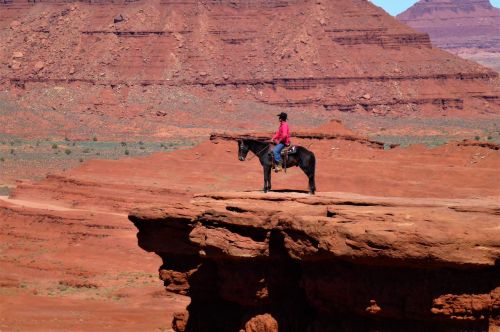 usa nature national park desert