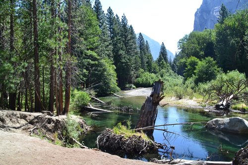 usa  national park  california