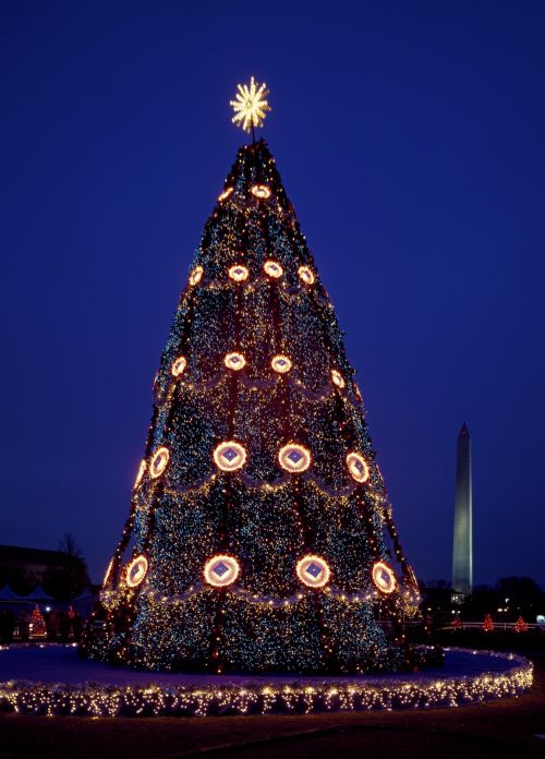 USA National Christmas Tree