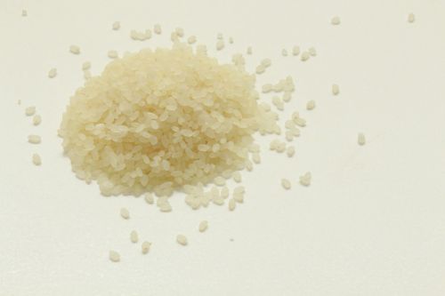 usd rice rice milling