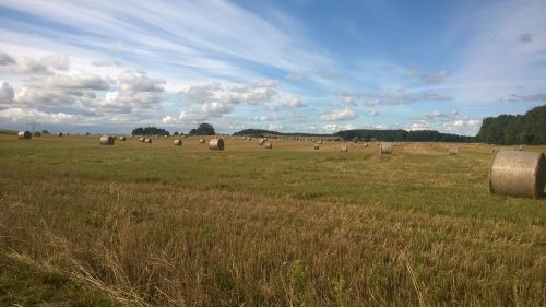 usedom benz straw