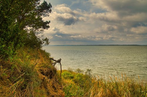 usedom  baltic sea  water