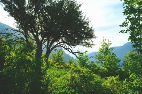 utah green overlook