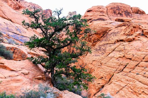 utah red rocks red