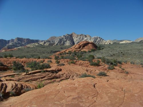 utah snow canyon nature