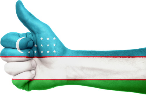 uzbekistan flag hand