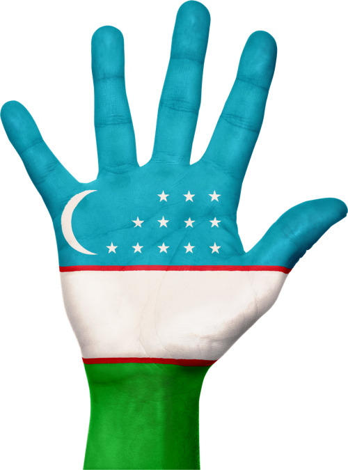 uzbekistan flag hand