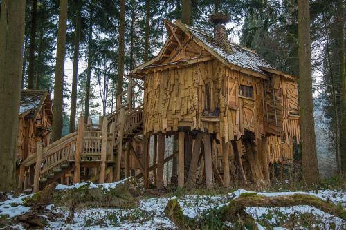 vacation treehouse tree hut