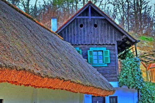vacation thatched roof log cabin