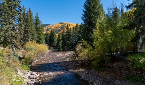 vail colorado nature