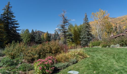 vail colorado foliage