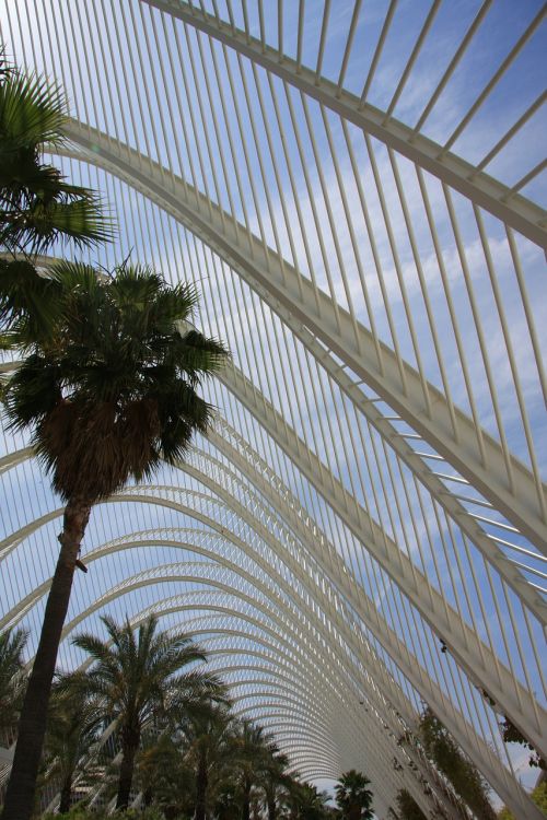 valencia city of arts and sciences architecture