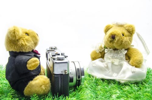 valentine wedding bear