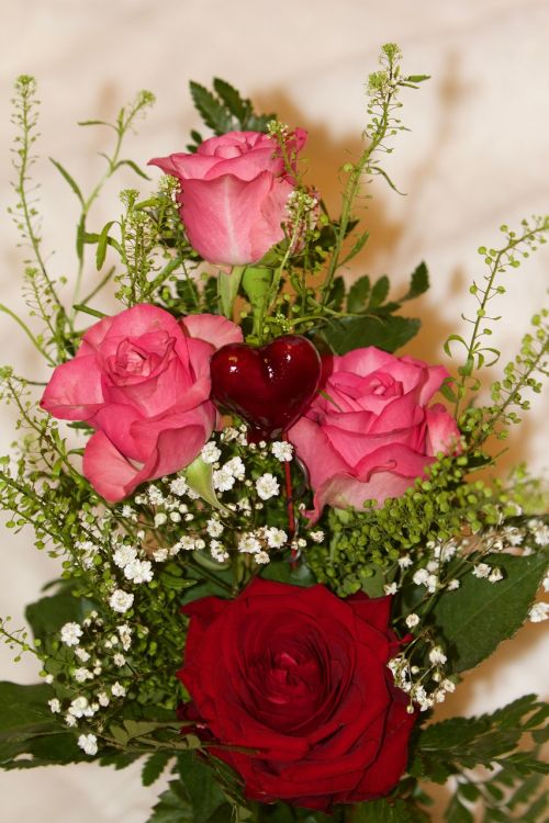 valentine roses heart