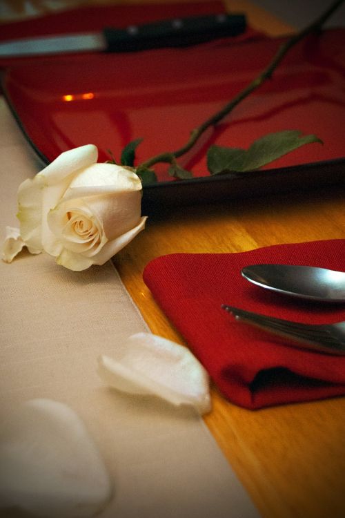 valentines rose romance