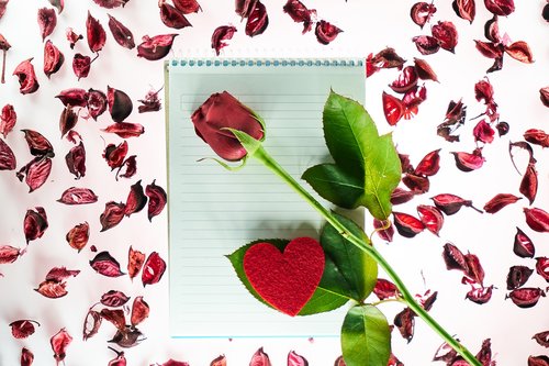 valentine's day  love  romance