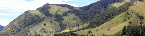 valle de cocora panorama palm trees