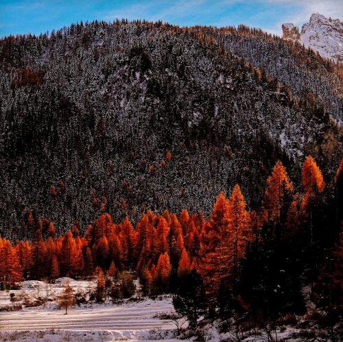 valle stretta piemonte italy