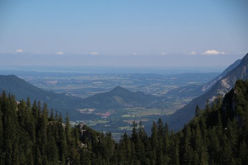 valley trees landscape