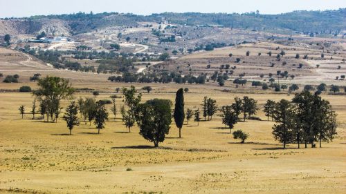 valley trees landscape