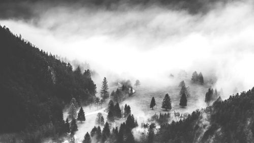 valley fog wafts