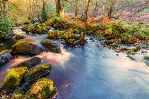 valley of desolation yorkshire bolton abbey