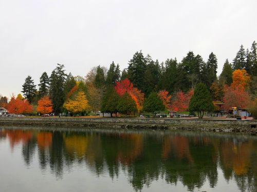 vancouver fall color