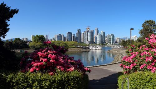 vancouver false creek city panorama