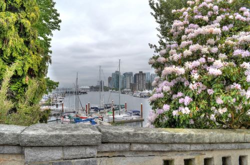 vancouver marina flowers