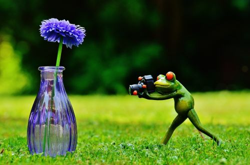vase flower frog