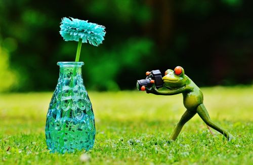 vase flower frog
