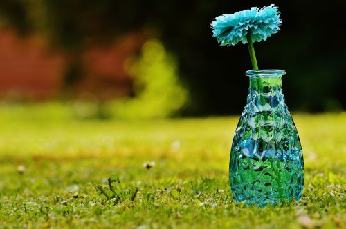 vase glass flower