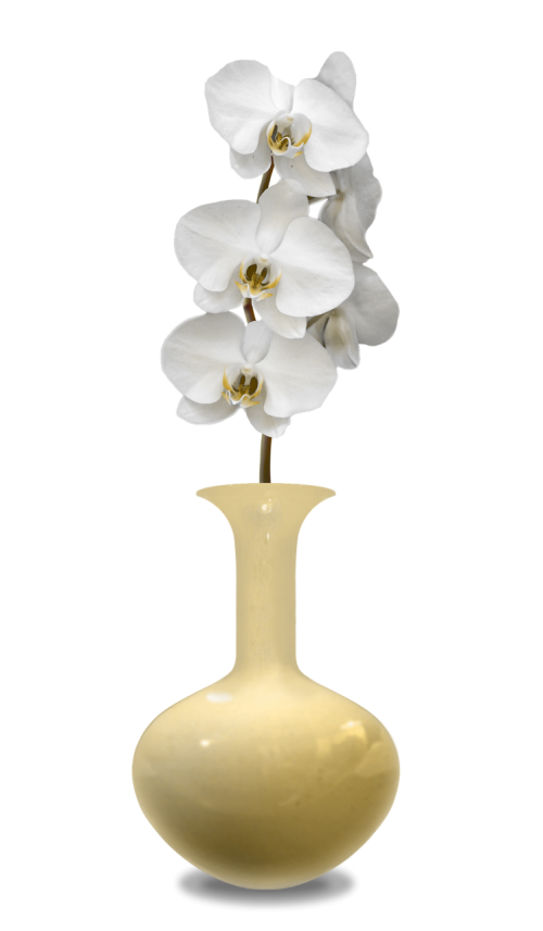 vase orchis decorative