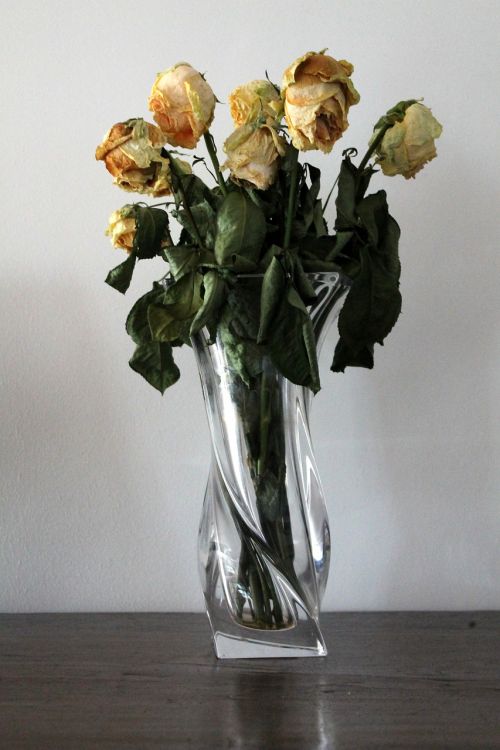 vase flowers rose