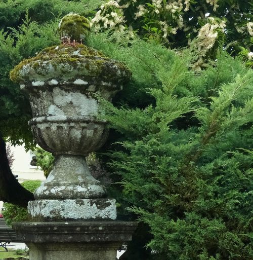 vase park conifer