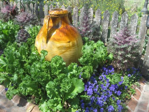 vase garden lettuce