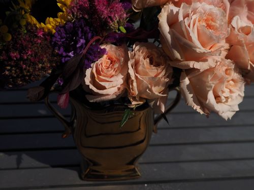 vase roses pink