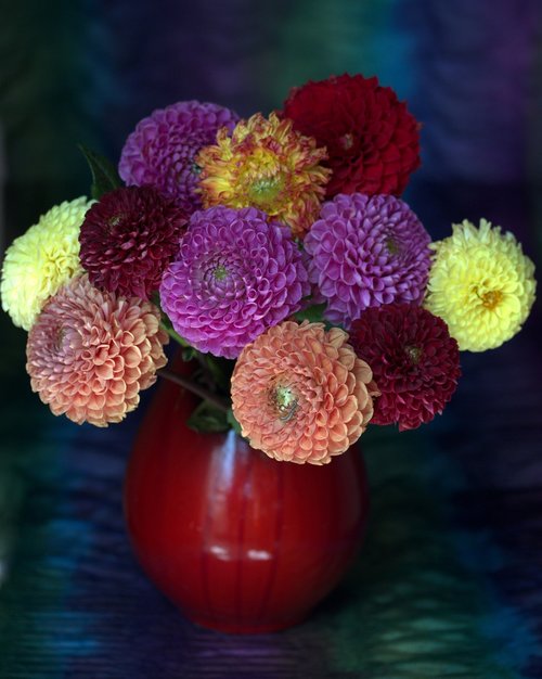 vase  flowers  coloring
